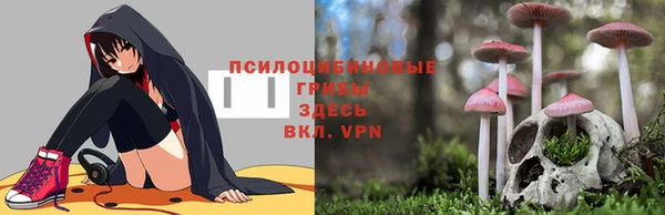 мяу мяу мука Абинск