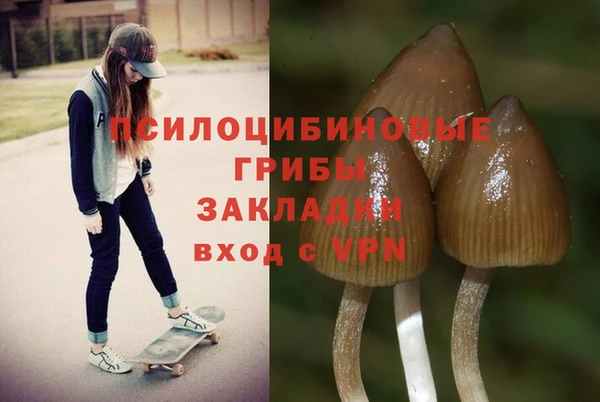 прущая мука Абдулино