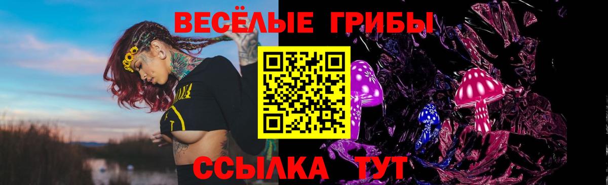 Фурманов  Галлюциногенные грибы Psilocybe  Псилоцибиновые грибы GOLDEN TEACHER  Вход с VPN 